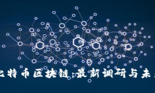 解密比特币区块链：最新调研与未来展望