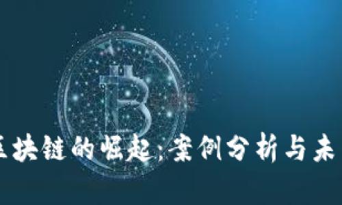 无币区块链的崛起：案例分析与未来展望