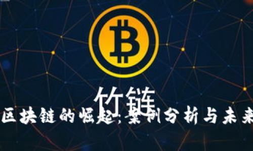 无币区块链的崛起：案例分析与未来展望